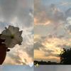 azuul_ahmed