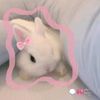 lolypople0