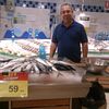 alisharifi713