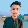 shahroo.756