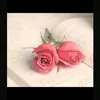 userwjr86a4mmd