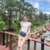 bbaifern