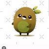 kiwi_kiiiii