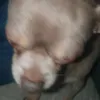 miaz__1511