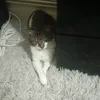 user6jz5pr95ly
