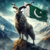 markhor214