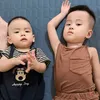 baolong11022022