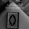 user5atviwyg1s