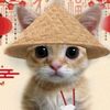 asianshauty