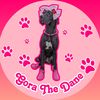 Gora the Great Dane