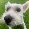 brianyboy1