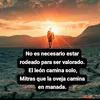 fernandohualuque