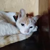 vieira_791