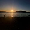 jimina_95__19_