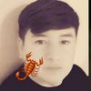 user76wilmerbp
