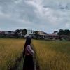okta08826