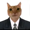 user71qruqpx2j