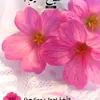 mabkhouti2
