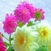 user7800570743315