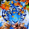 user5935050540757