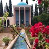 basitkhantareen10