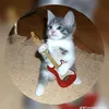 otto.scazzola0610