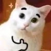 hihuomog