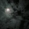 whossyaffy