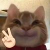gatyu11