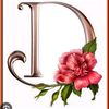 dadu.sager
