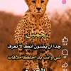 user99530685617928