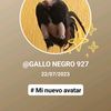 gallonegro486