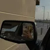 qais.abujebara