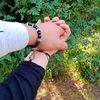 user317223820103