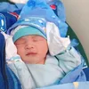 kulit2419