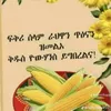 samri62272