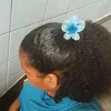 blogueira275