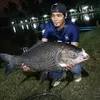 sapik_selasih
