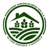 semillascartayaseed