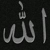 user3878774349469