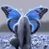 Alma de borboleta 🦋