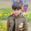 fehmida.qaiser