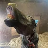 annie_lulu66