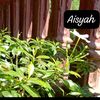 aisyahpanggilajaakunke2