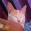 afreen.keya