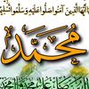 mohammad5819