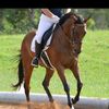 helenward519