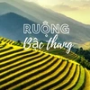 RUỘNG BẬC THANG