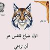 user6006257475433