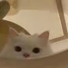 neimeiheree